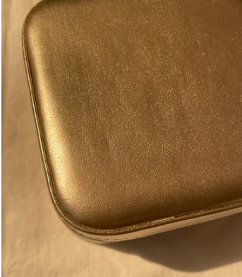 Metallic Accessories Bag