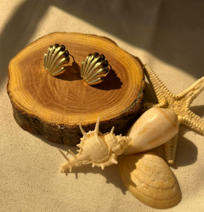 Shell Earrings